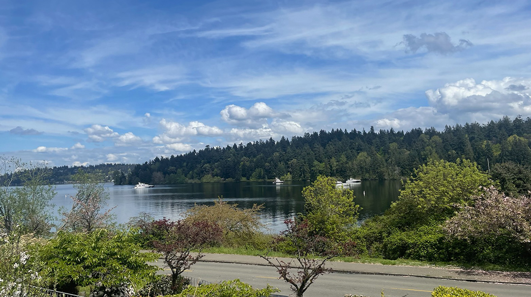 View from 5220 57th Ave S Lakehouse